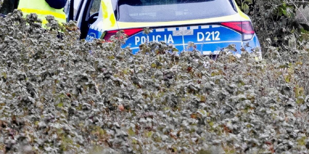 Kielce yakınlarındaki cinayet şüphelisi 65 yaşındaki şahıs ormanlık alanda yakalandı