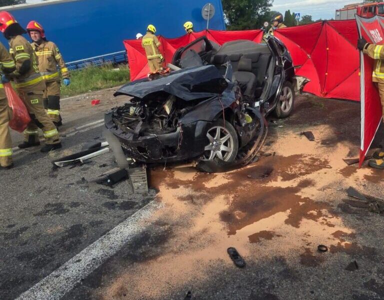 Polonya’da Trafik Kazası: 20 Yaşındaki Sürücü Hayatını Kaybetti
