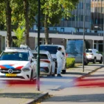 Piet Mondriaan’ın 25 Yıldır Kamuoyundan Uzak Olan Eseri Londra’da Açık Artırmaya Çıkıyor
