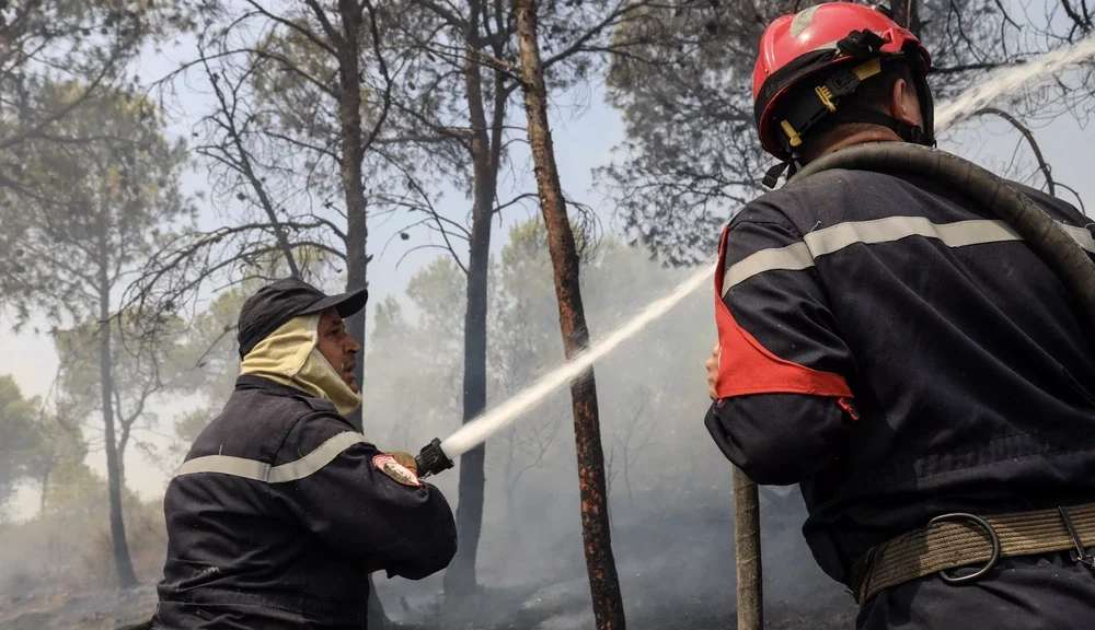 Cezayir’deki Orman Yangınlarında On İki Kişi Yaşamını Yitirdi