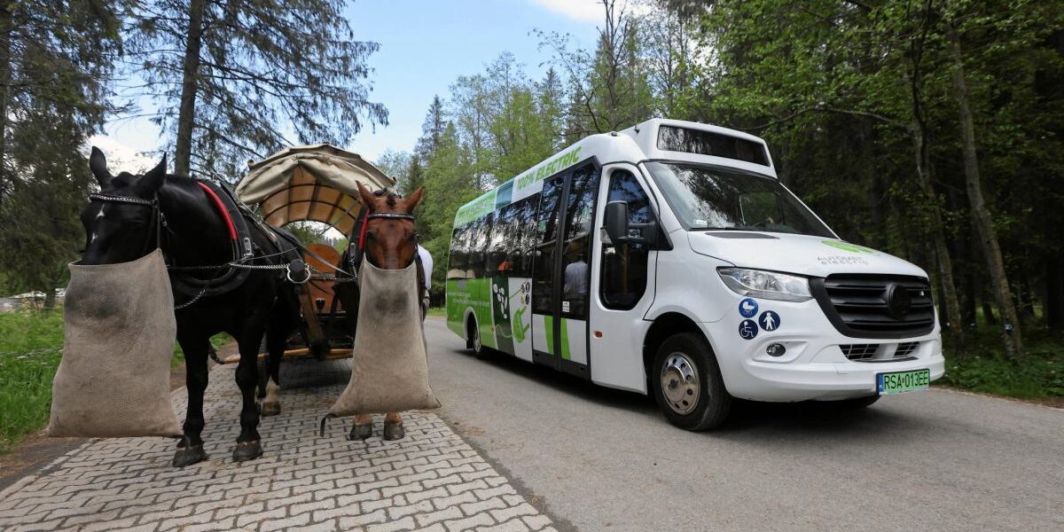 Morskie Oko Yolunda Atlı Taşımacılık Tartışması: Protestolar ve Yeni Düzenleme Kararı
